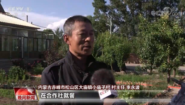 赤峰賣小粉丸的電話號碼是多少-第1張圖片