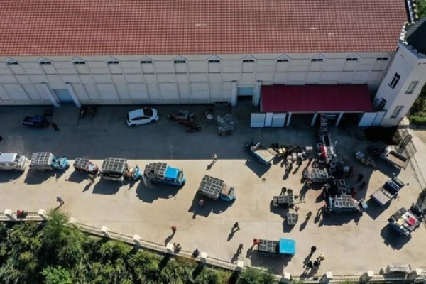 赤峰山葡萄批發(fā)電話號碼查詢-第1張圖片