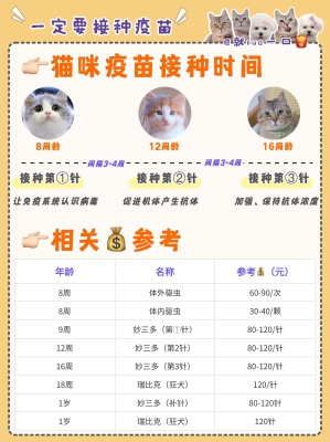 赤峰市貓疫苗接種點(diǎn)電話號碼-第1張圖片