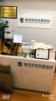 赤峰新城巴迪寵物貓電話號碼-第1張圖片