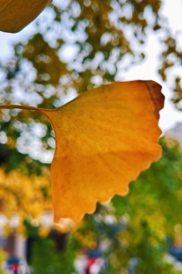 赤峰靜姐貼膜店電話地址查詢-第1張圖片