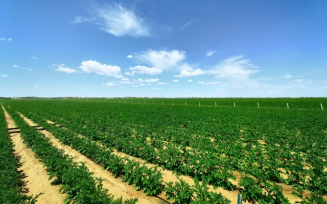 赤峰種植養(yǎng)殖專家電話號(hào)碼查詢-第1張圖片