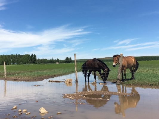 赤峰摩友地帶電話號(hào)碼多少-第1張圖片