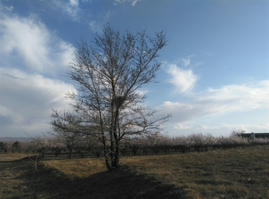 赤峰寧城縣民用機(jī)場電話號碼-第1張圖片