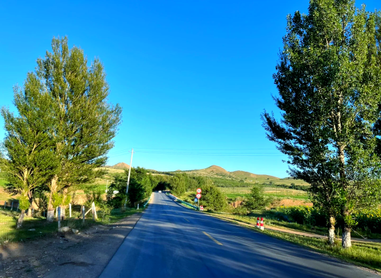 赤峰到沈陽冷鏈運輸電話號碼-第1張圖片