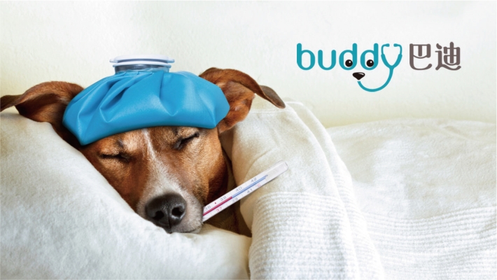 赤峰巴迪寵物店的電話號(hào)碼-第1張圖片