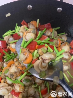 赤峰扇貝肉批發(fā)市場電話號碼-第1張圖片