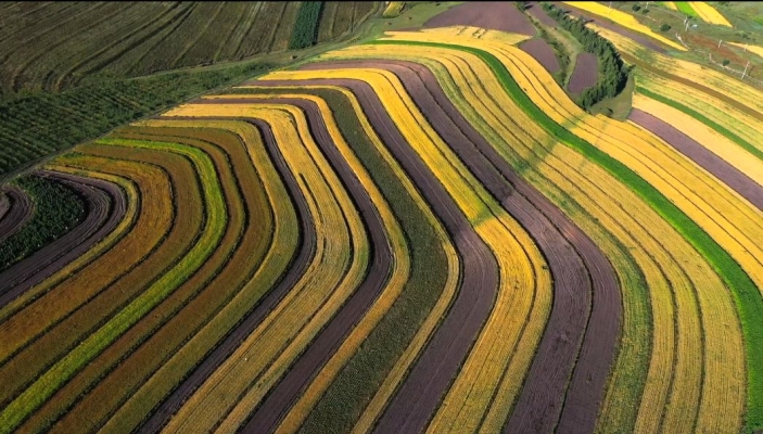 赤峰大地種業(yè)負(fù)責(zé)人電話號(hào)碼-第1張圖片