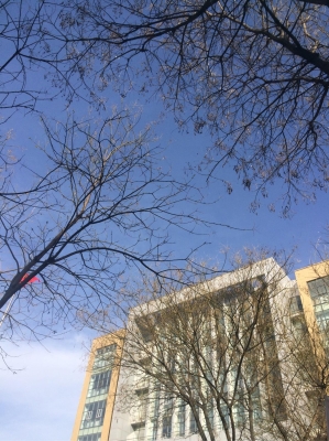 赤峰二中政教處電話號(hào)碼-第1張圖片