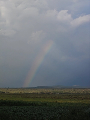赤峰市租車公司電話號(hào)碼多少-第1張圖片
