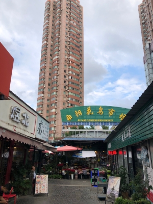 赤峰美睫店電話號碼查詢地址-第1張圖片