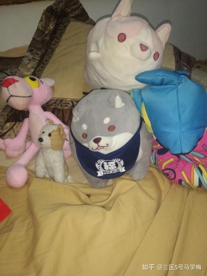 赤峰寵物毛絨玩具店電話號(hào)碼-第1張圖片