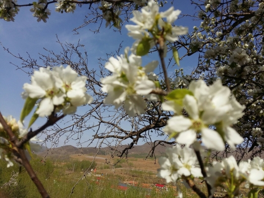 赤峰喀喇沁收費(fèi)站電話號碼-第1張圖片