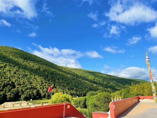 赤峰康寧寺送月餅電話是多少號(hào)-第1張圖片