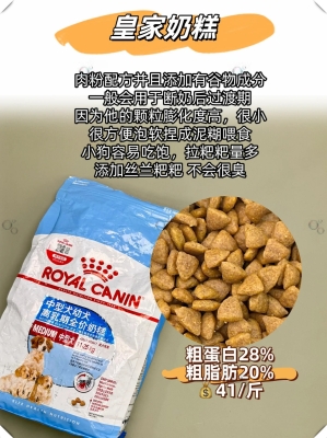 赤峰狗狗代養(yǎng)公司電話多少號-第1張圖片