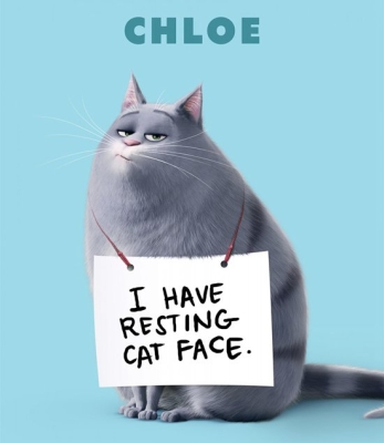 赤峰荊棘萌寵樂園地址電話號(hào)碼-第1張圖片