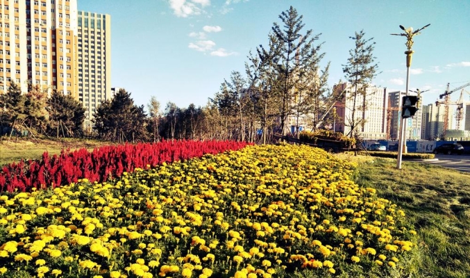 赤峰園林工程有限公司電話號碼-第1張圖片