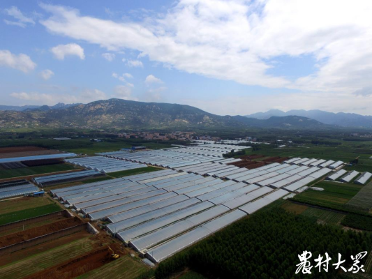 赤峰市果蔬種植農(nóng)場電話號碼-第1張圖片