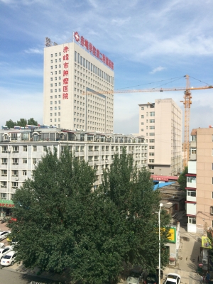 赤峰紅山區(qū)聯(lián)誼會(huì)電話號(hào)碼-第1張圖片