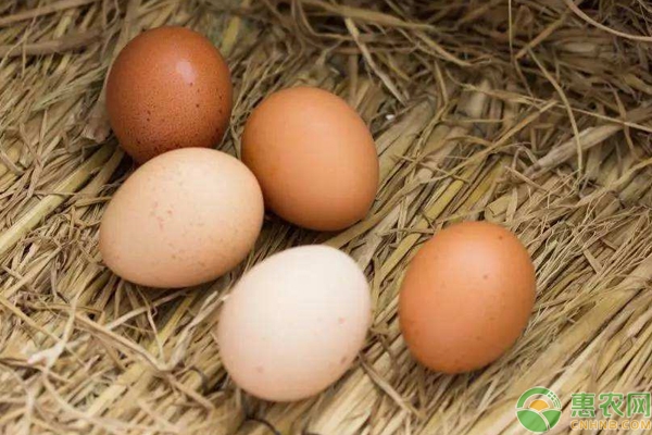 赤峰寧城縣打蛋子店電話號(hào)碼-第1張圖片