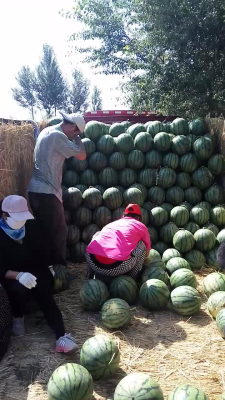 赤峰市木頭溝鄉(xiāng)政府電話號碼-第1張圖片