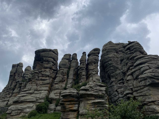 赤峰松鶴醬油廠地址電話號碼-第1張圖片
