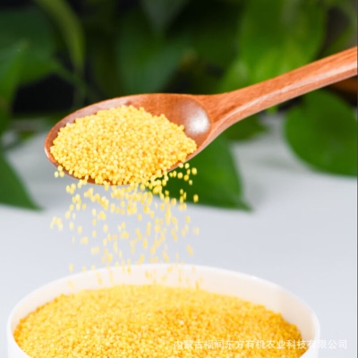 赤峰小蜜蜂書包電話號碼查詢-第1張圖片