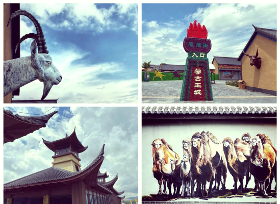 赤峰蒙古新貴賓館電話號碼多少-第1張圖片