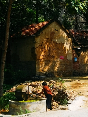 赤峰松山區(qū)碾房社區(qū)電話號碼-第1張圖片
