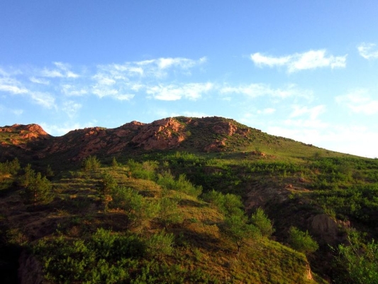 赤峰紅山區(qū)板房出租電話號(hào)碼-第1張圖片
