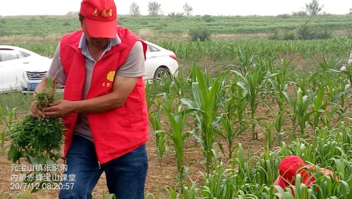 赤峰褚記熟食店電話地址查詢-第1張圖片