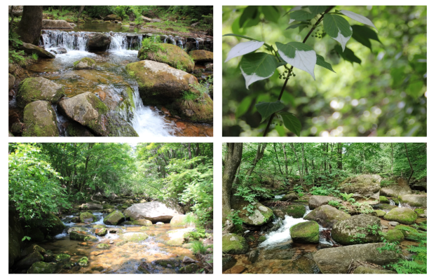 赤峰市鶴鹿溝社區(qū)電話號碼-第1張圖片