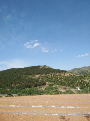 赤峰市敖漢旗中醫(yī)院電話號(hào)碼-第1張圖片