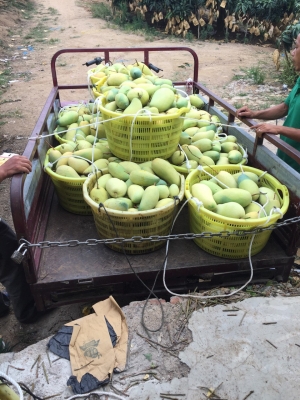 烏海到赤峰拉煤的車(chē)電話(huà)號(hào)碼-第1張圖片