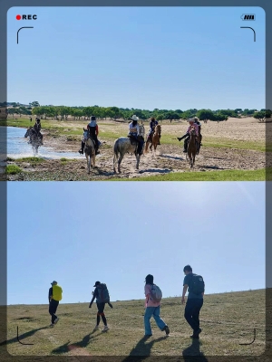 赤峰草原露營基地電話多少號(hào)-第1張圖片