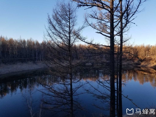 赤峰柴暖專營(yíng)店地址電話號(hào)碼-第1張圖片