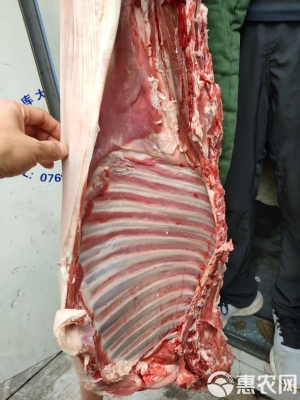 赤峰凍貨白條羊肉批發(fā)電話號(hào)碼-第1張圖片