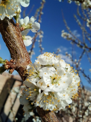 赤峰市小營子社區(qū)電話號碼-第1張圖片