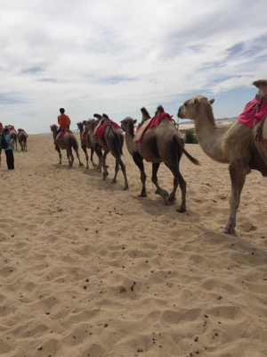 赤峰旗縣滴滴車電話號碼是多少-第1張圖片