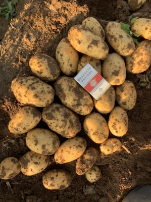 赤峰林西縣砂石廠電話號碼-第1張圖片