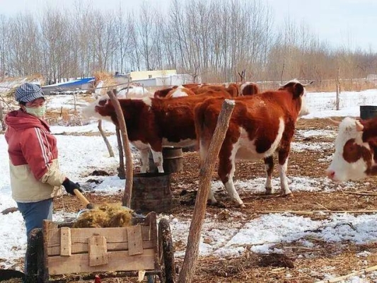 赤峰今日頭條賣家電話號碼-第1張圖片