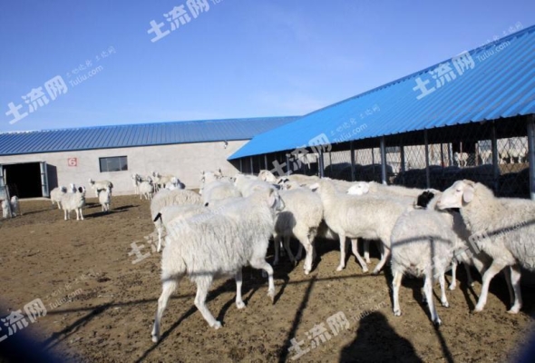 赤峰養(yǎng)殖大公司電話號(hào)碼查詢-第1張圖片