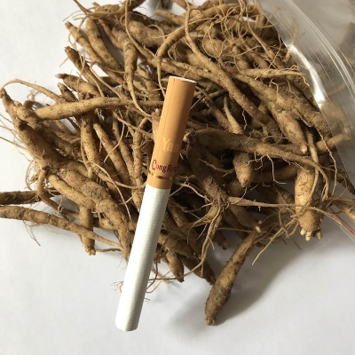 赤峰小董種苗廠電話號碼查詢-第1張圖片