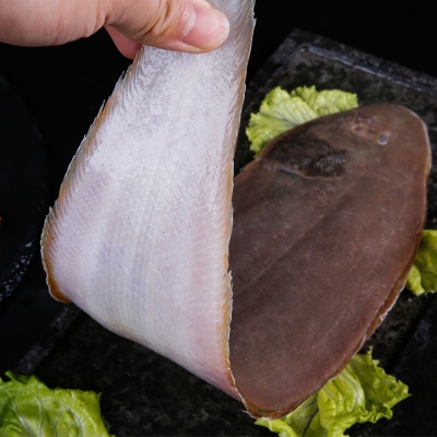 赤峰市龍利魚館電話號(hào)碼-第1張圖片