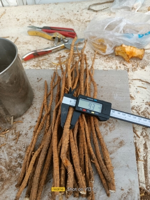 赤峰焦化硫磺廠電話多少號(hào)-第1張圖片