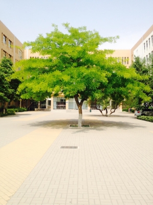 赤峰二中教務(wù)處電話號(hào)碼-第1張圖片