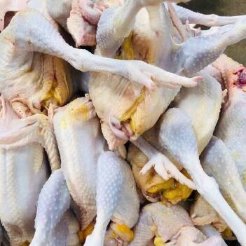 赤峰冷凍整雞批發(fā)電話(huà)地址查詢(xún)-第1張圖片
