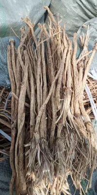 赤峰附近中藥廠電話號碼多少-第1張圖片