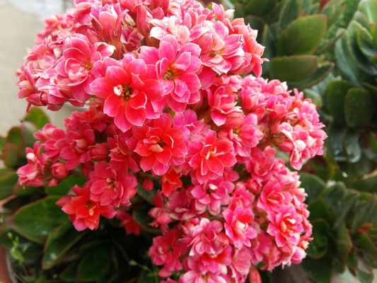 赤峰喀喇沁得航賓館電話號碼-第1張圖片