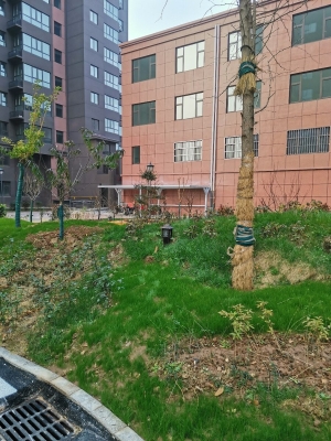 赤峰電動車棚廠家批發(fā)電話號碼-第1張圖片